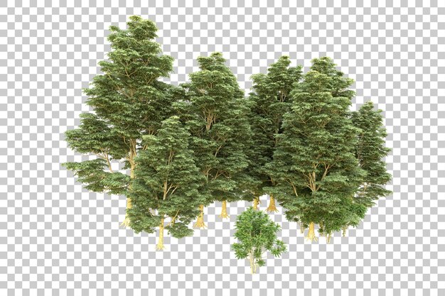 Forêt Réaliste Isolée Sur Fond Transparent Illustration De Rendu 3d