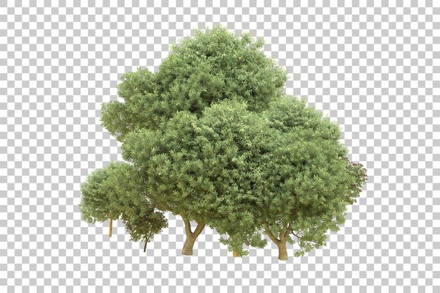 PSD forêt réaliste isolée sur fond transparent illustration de rendu 3d