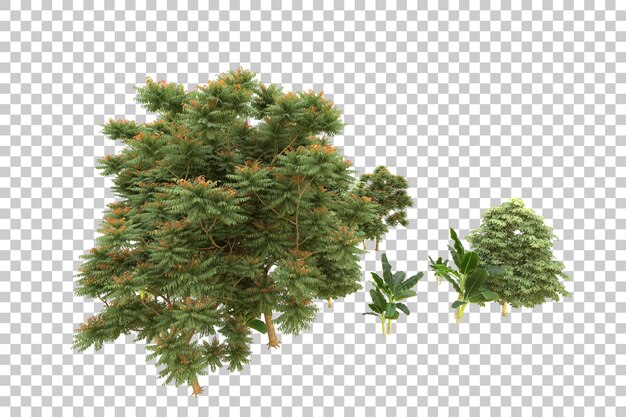 PSD forêt réaliste isolée sur fond transparent illustration de rendu 3d