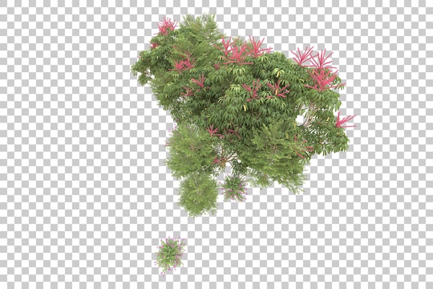 Forêt réaliste isolée sur un fond transparent illustration de rendu 3D