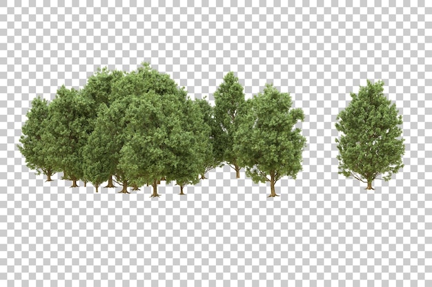 PSD forêt réaliste isolée sur fond transparent illustration de rendu 3d