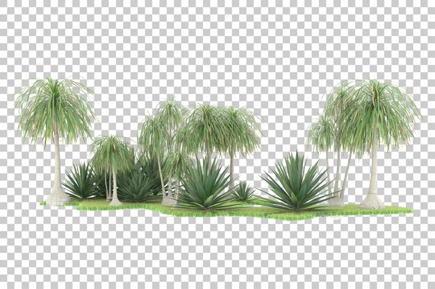 Forêt tropicale isolée sur fond transparent illustration de rendu 3d