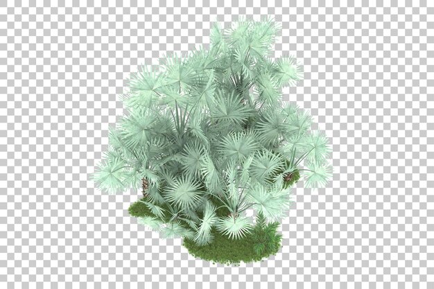 PSD forêt tropicale isolée sur fond transparent illustration de rendu 3d