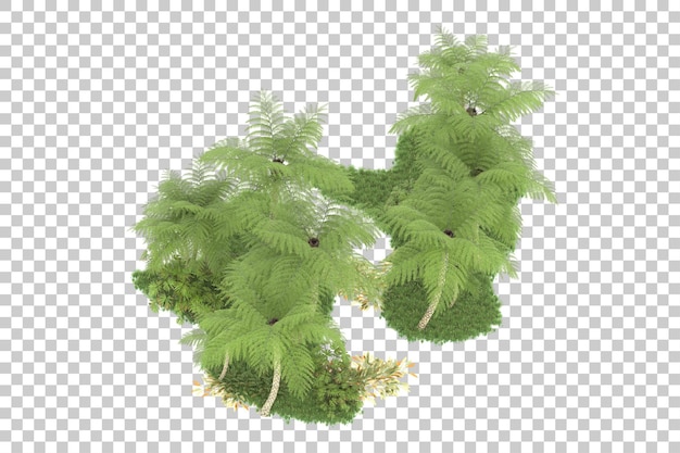 Forêt Tropicale Isolée Sur Fond Transparent Illustration De Rendu 3d