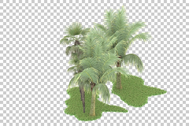 Forêt Tropicale Isolée Sur Un Fond Transparent Illustration De Rendu 3d