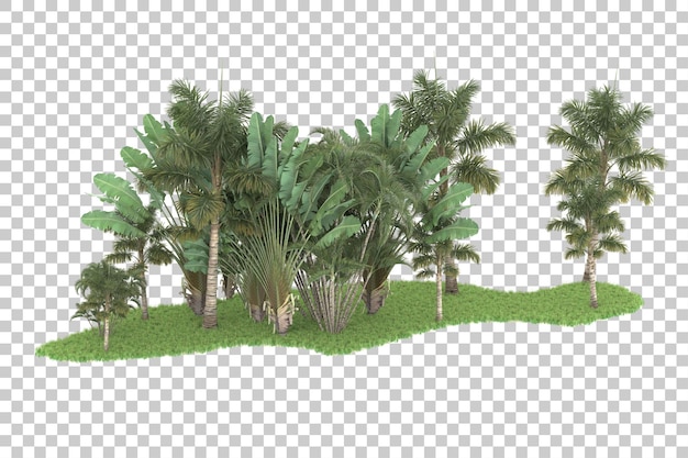 PSD forêt tropicale isolée sur un fond transparent illustration de rendu 3d