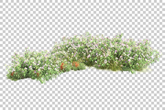 Forêt tropicale isolée sur fond transparent illustration de rendu 3d