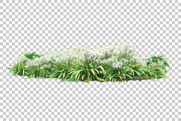 Forêt tropicale isolée sur fond transparent illustration de rendu 3d