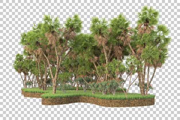 Forêt tropicale isolée sur fond transparent illustration de rendu 3d