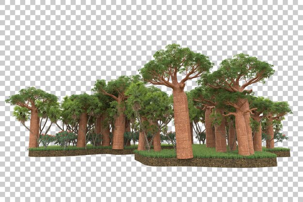 PSD forêt tropicale isolée sur fond transparent illustration de rendu 3d