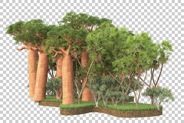 PSD forêt tropicale isolée sur fond transparent illustration de rendu 3d