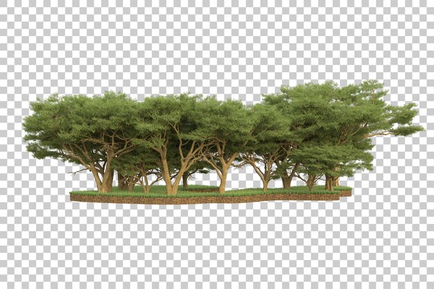 PSD forêt tropicale isolée sur fond transparent illustration de rendu 3d