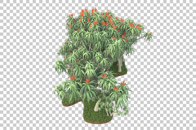 PSD forêt tropicale isolée sur fond transparent illustration de rendu 3d