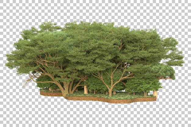 Forêt tropicale isolée sur fond transparent illustration de rendu 3d