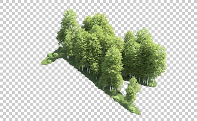 PSD forêt verte isolée sur le fond illustration de rendu 3d