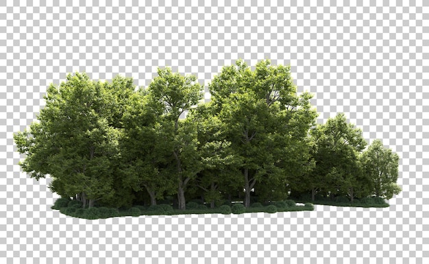 Forêt verte isolée sur le fond illustration de rendu 3D