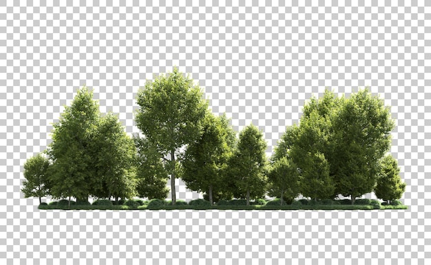 Forêt Verte Isolée Sur Le Fond Illustration De Rendu 3d