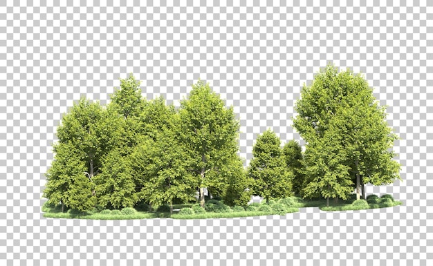 Forêt Verte Isolée Sur Le Fond Illustration De Rendu 3d