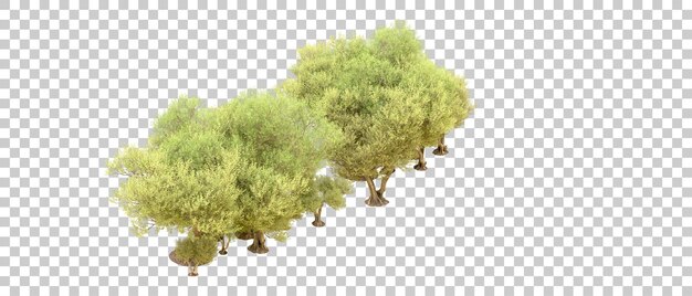 Forêt Verte Isolée Sur Le Fond Illustration De Rendu 3d