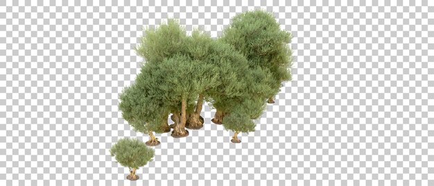 Forêt Verte Isolée Sur Le Fond Illustration De Rendu 3d