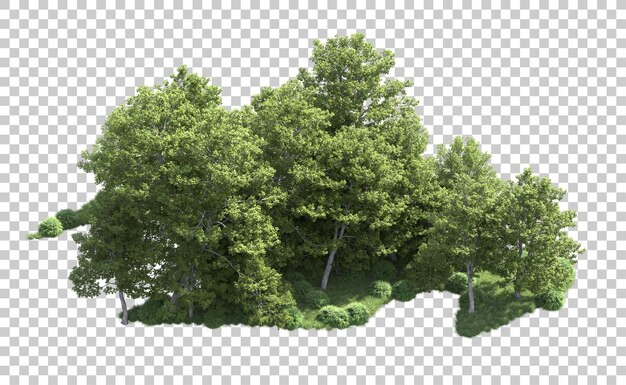 PSD forêt verte isolée sur le fond illustration de rendu 3d