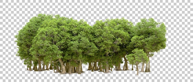 PSD forêt verte isolée sur fond transparent illustration de rendu 3d