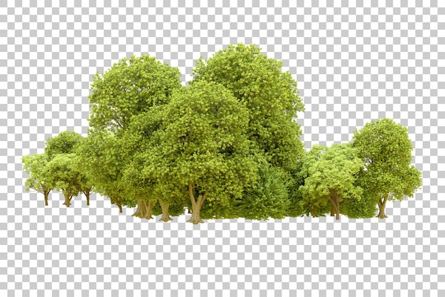 Forêt Verte Isolée Sur Fond Transparent Illustration De Rendu 3d