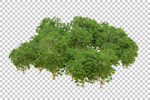 PSD forêt verte isolée sur fond transparent illustration de rendu 3d