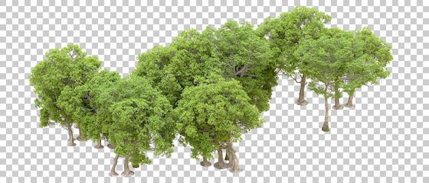 Forêt Verte Isolée Sur Fond Transparent Illustration De Rendu 3d