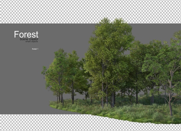 PSD forêts avec de nombreux arbres et plantes