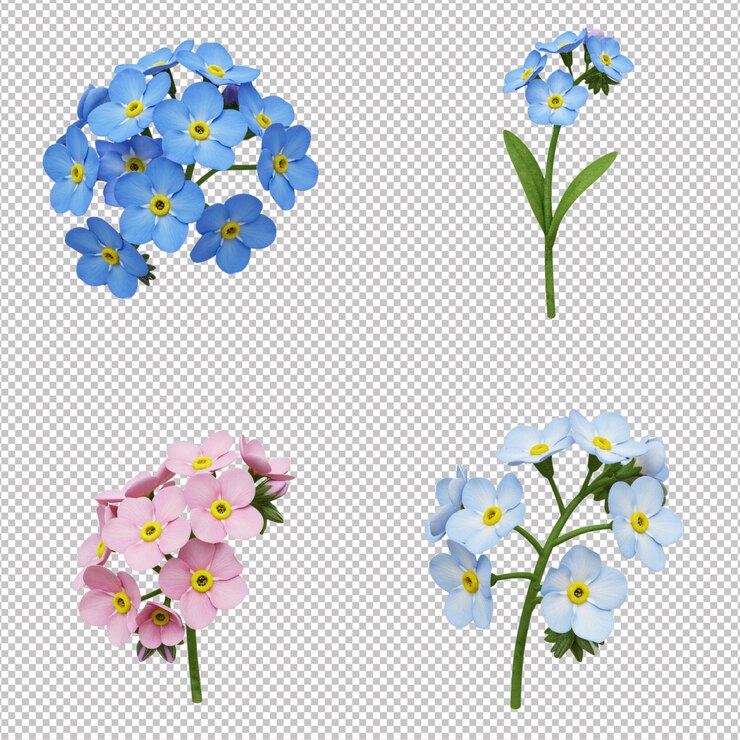 PSD forget-me-nots 3d renderizado en 3d y en 3d