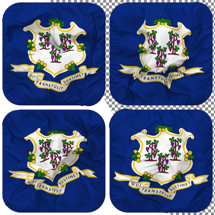 PSD forma de escudeiro da bandeira do estado de connecticut isolado estilo de ondulação diferente textura de colisão renderização 3d