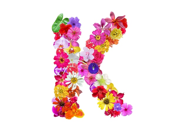 Forma de K hecha de varios tipos de pétalos de flores aislados en fondo transparente PNG