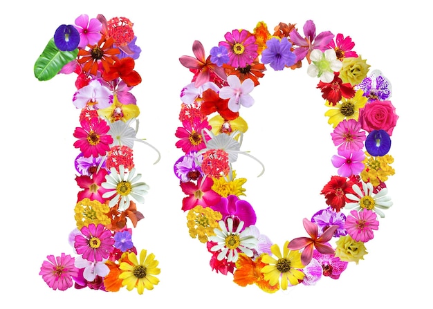 Forma de L hecha de varios tipos de flores de orquídeas