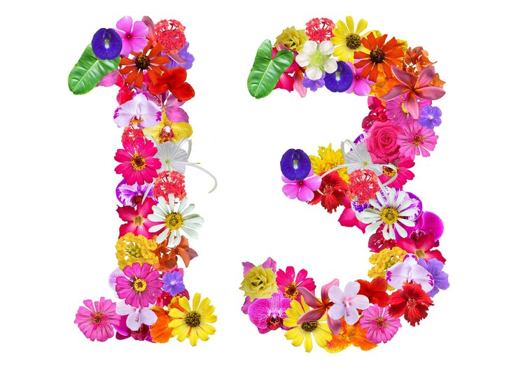 PSD forma de l hecha de varios tipos de flores de orquídeas.