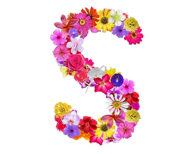 Forma de S hecha de varios tipos de pétalos de flores aislados en fondo transparente PNG