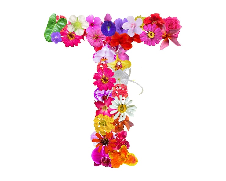 PSD forma de t hecha de varios tipos de pétalos de flores aislados en fondo transparente png