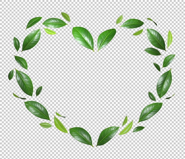 Formas de coração folhas verdes voando movimento conceitual em fundos transparentes renderização 3d