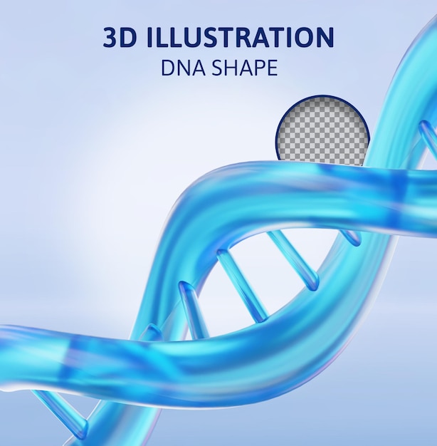 forme d'adn illustration de rendu 3d