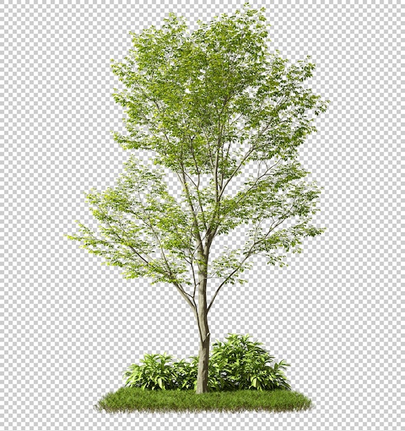 Forme di alberi selvatici ritagliati su sfondi trasparenti di arbusti di erba
