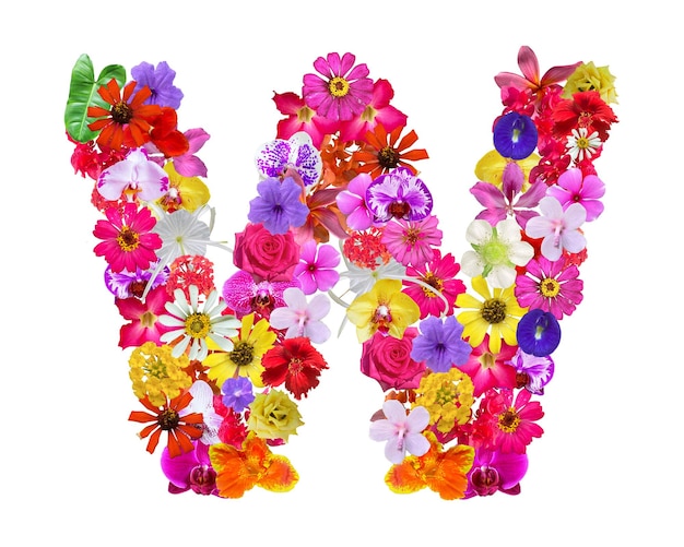 Forme W faite de divers types de pétales de fleurs isolés sur fond transparent PNG