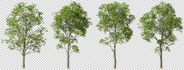 Formen wilder Bäume schneiden transparente Hintergründe aus, 3D-Illustration