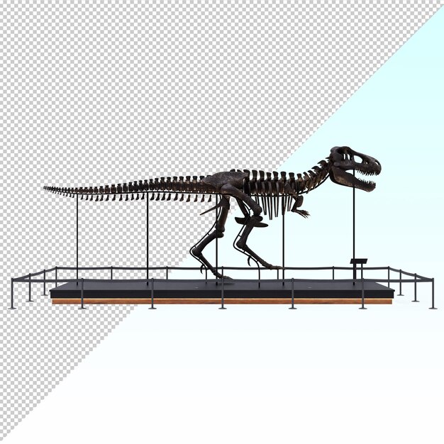 PSD le fossile du tyrannosaurus rex