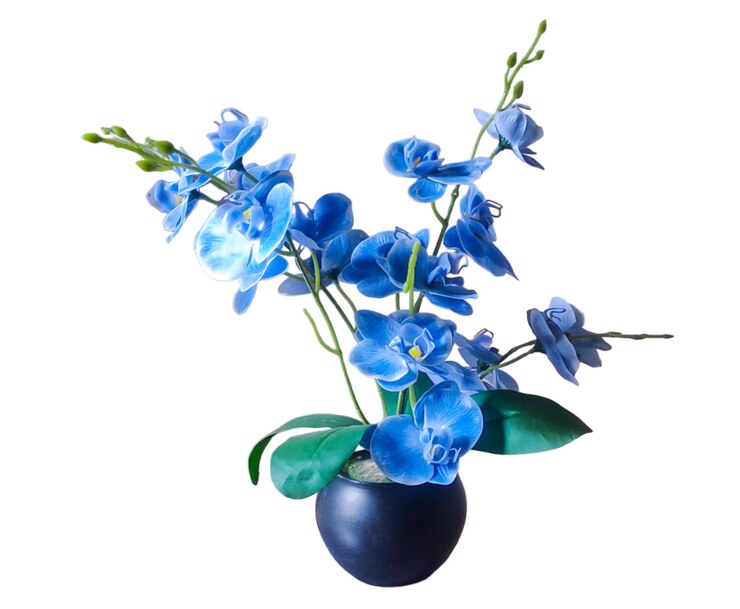 PSD una foto de flores azules en un jarrón sobre un fondo transparente una foto de flores azul en un jarro azul