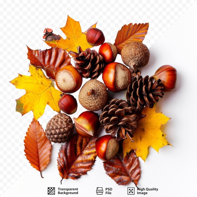 PSD foto de naturaleza de otoño con hojas de castaño y piña