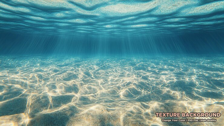 PSD foto submersa de um cardume de peixesfoto de padrãofonte natural