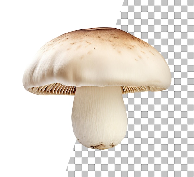 Foto vegetale di funghi isolata con sfondo trasparente