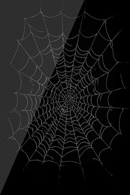 Fotorealistisches Spinnennetz