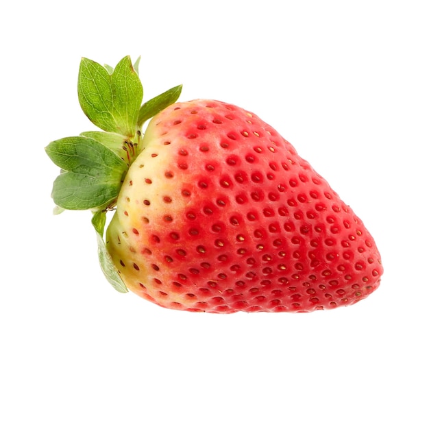 une fraise avec une feuille verte sur elle est montrée