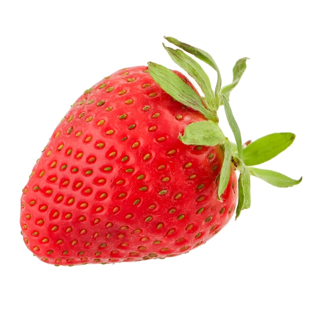une fraise avec une feuille verte et un fond blanc